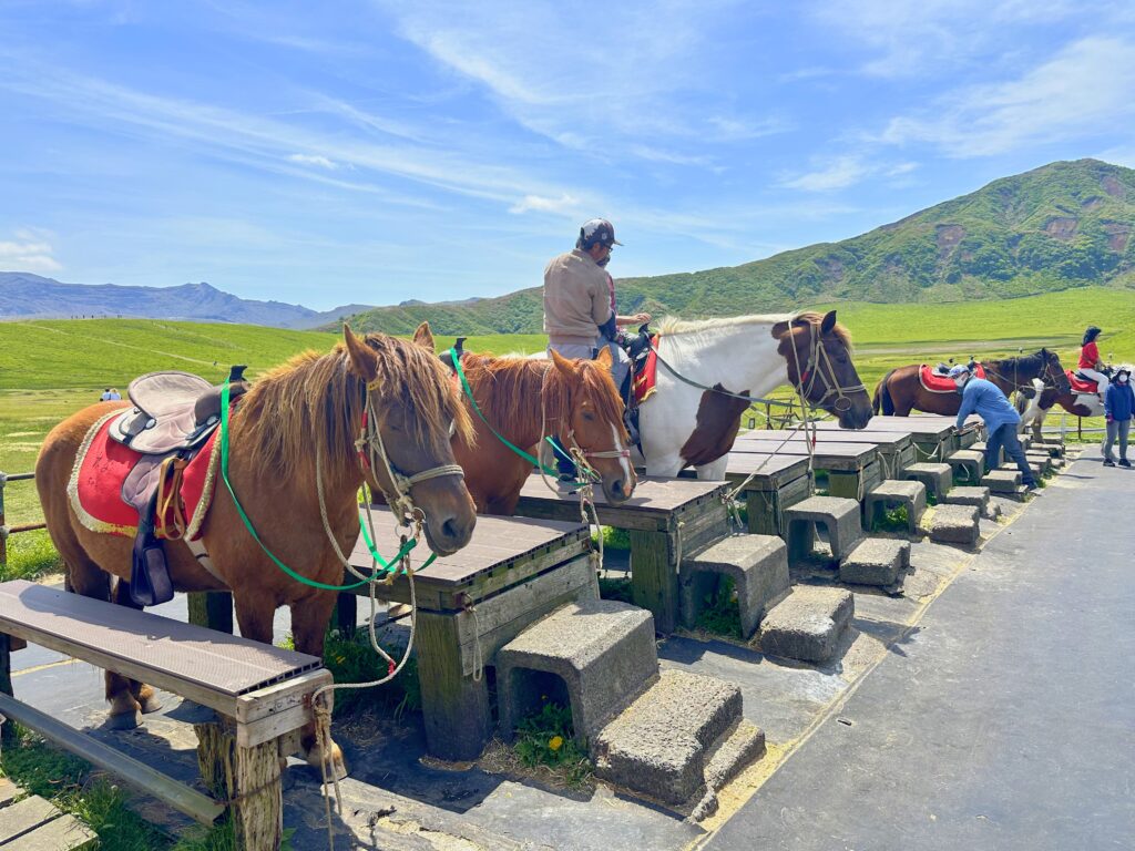 草千里ヶ浜で乗馬体験