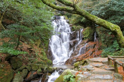 糸島のインスタ映えスポット